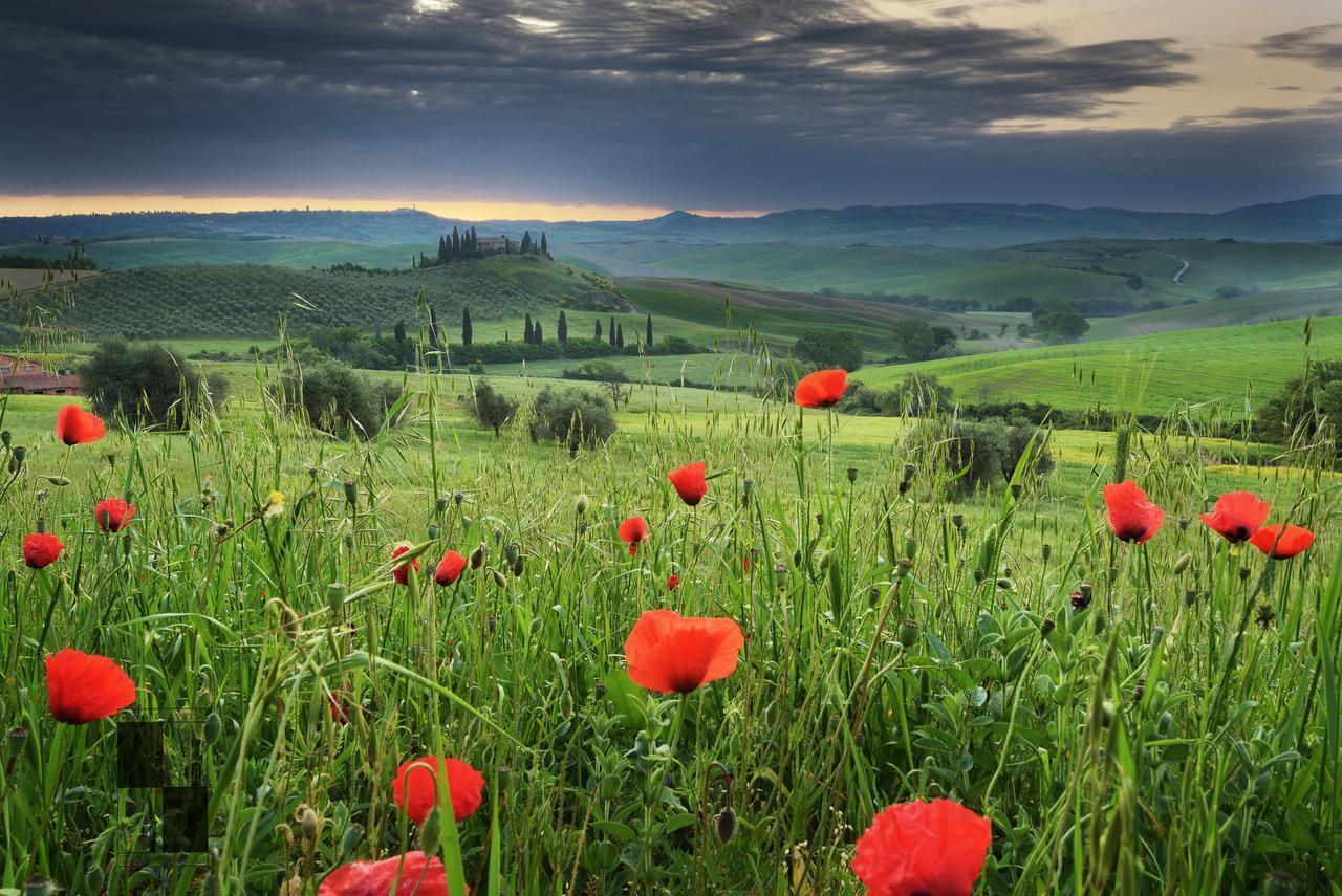 La Bellavita B&B Pienza Eksteriør billede