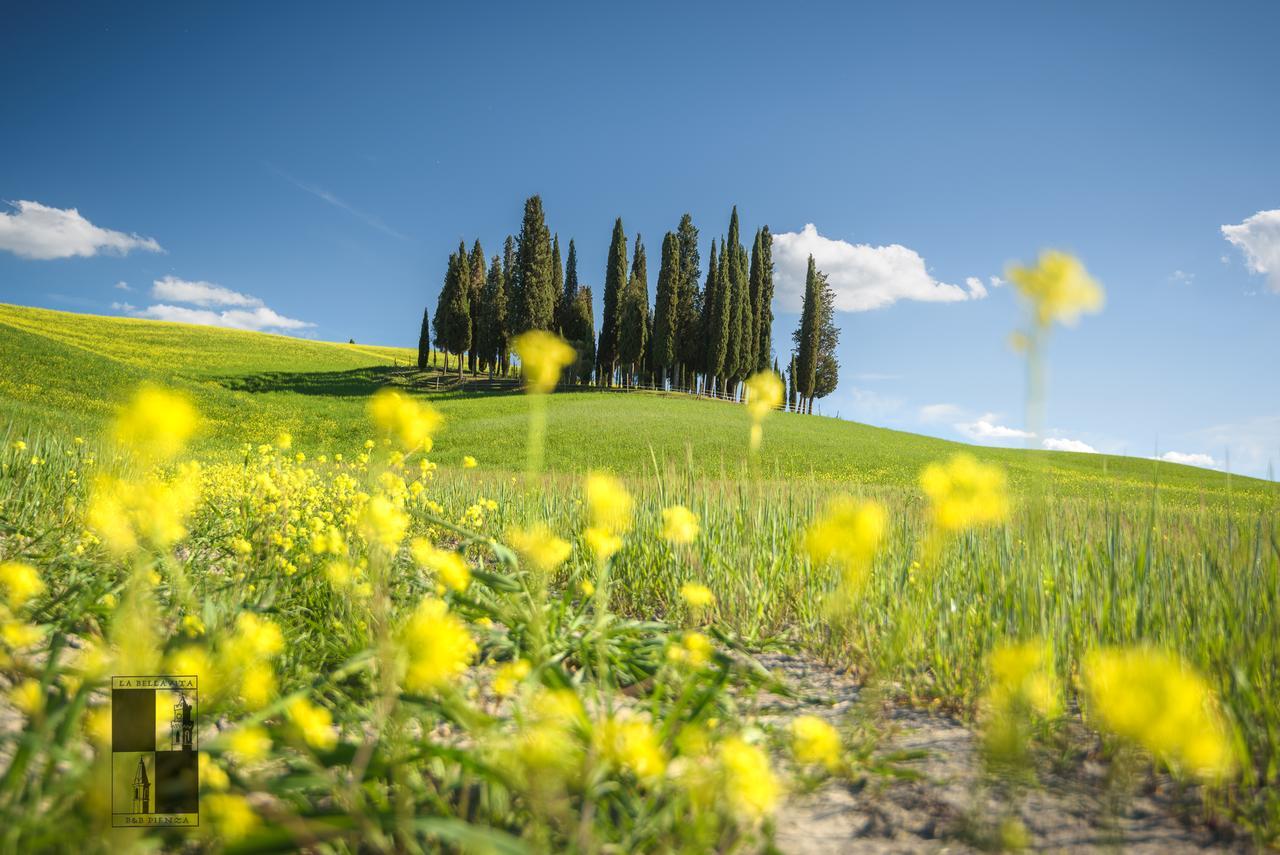 La Bellavita B&B Pienza Eksteriør billede